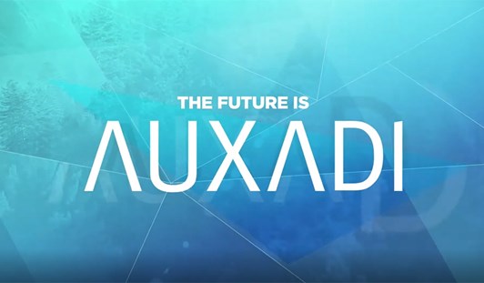 Auxadi